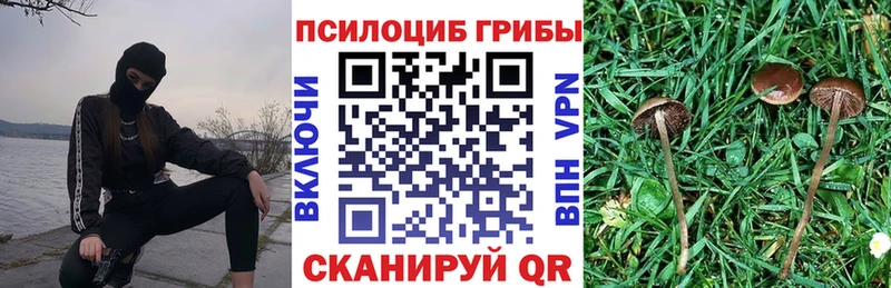 Псилоцибиновые грибы мицелий  Купить закладки  Чулым 