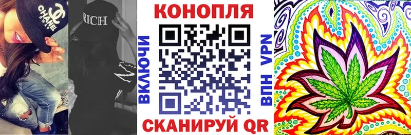 Каннабис сатива Купить Чулым